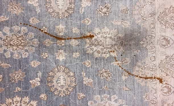 oriental rug cleaning
