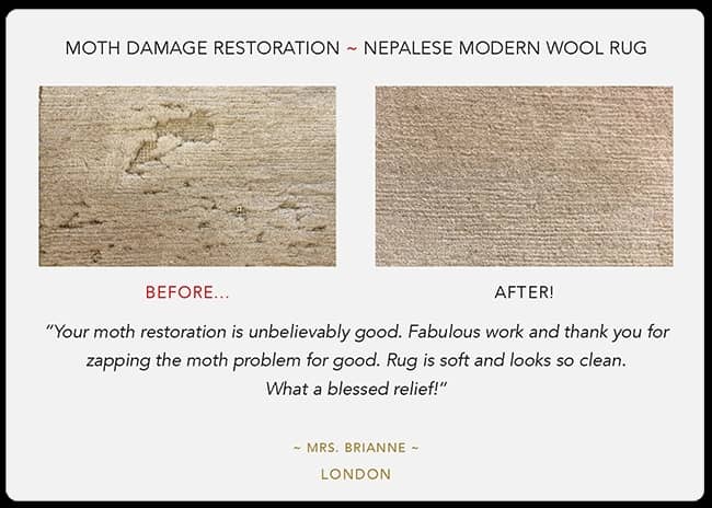 moth damage rug repair near me