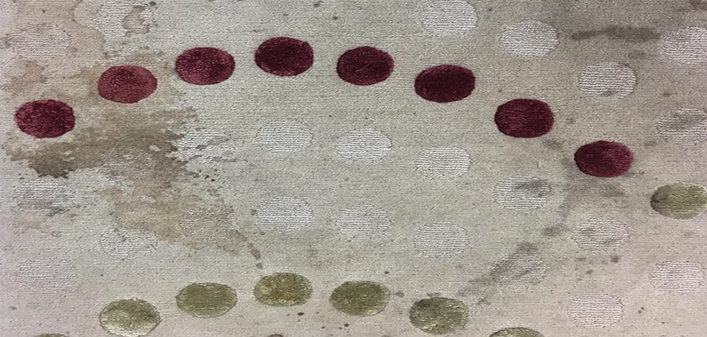 rug cleaning camden