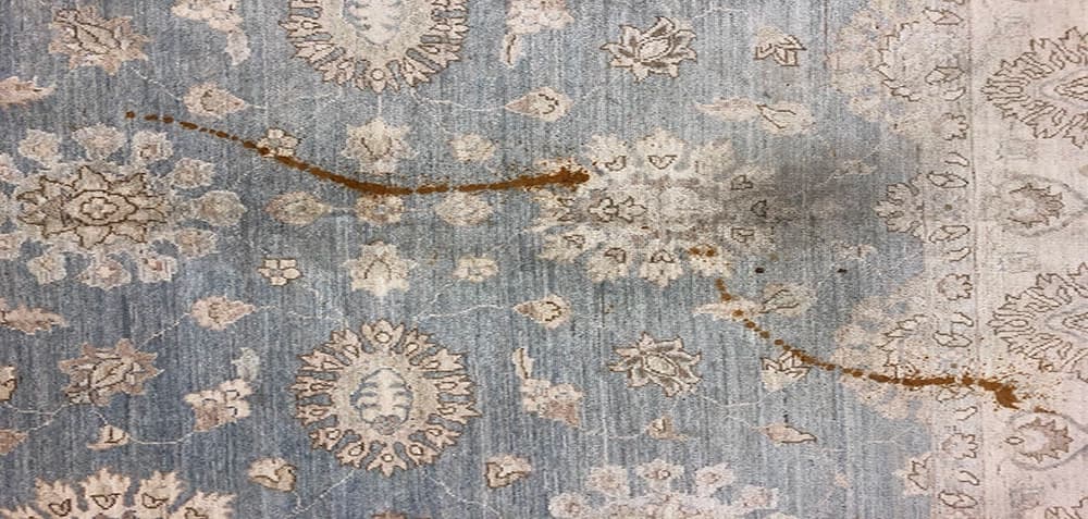 rug cleaning hampstead