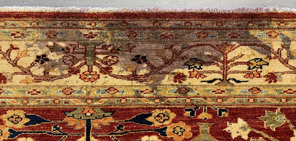 rug cleaning pimlico