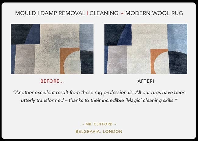 oriental rug hand cleaning